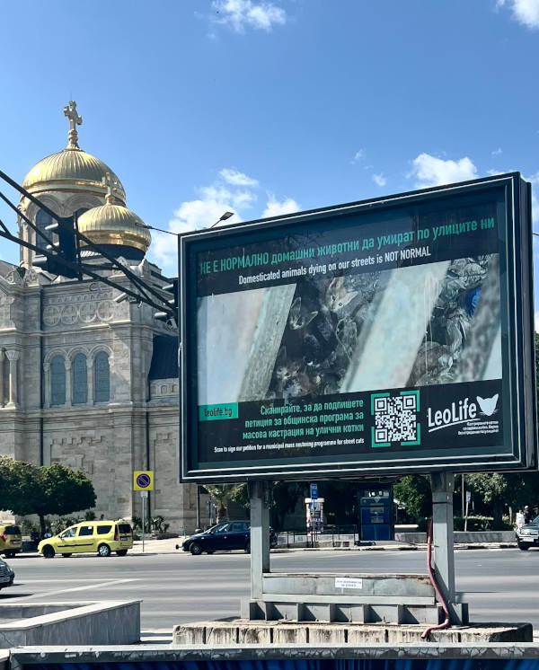 Снимка на голям скролер билборд на ЛеоЛайф, на който пише, че не е нормално домашни любимци да страдат по улиците на Варна и призовава хората да подпишат петиция в подкрепа на масова кастрационна кампания за уличните котки.