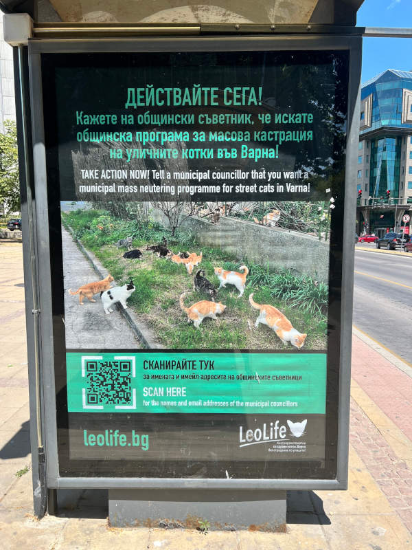 Снимка на билборд на ЛеоЛайф, който призовава хората във Варна да пишат на общинските съветници и да поискат въвеждане на масова кастрационна кампания за уличните котки.