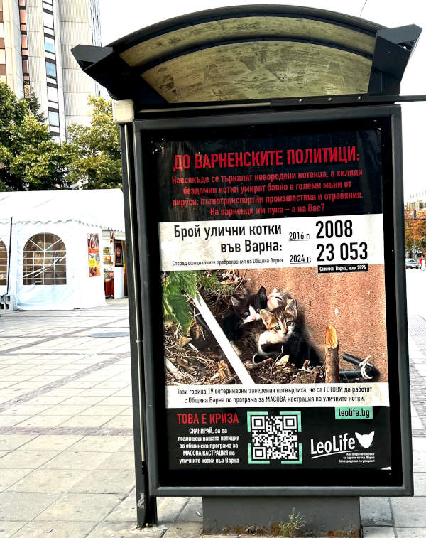 Снимка на билборд на ЛеоЛайф, насочен към местните политици във Варна - общинските съветници. На билборда пише, че новородени котенца се търкалят навсякъде, докато хиляди улични котки бавно и болезнено загиват от вируси, коли и отравяния. Пише, че на жителите на Варна им пука и пита дали местните политици им пука също. Призовава хората да подпишат петиция в подкрепа на масова общинска кампания за кастрация на уличните котки.