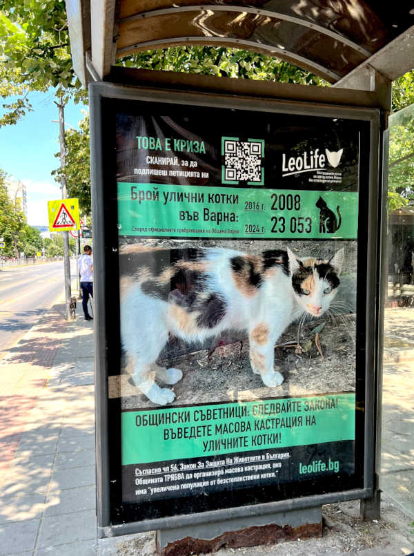 Снимка на билборд на ЛеоЛайф, на който пише, че според официални общински преброявания през 2016 г. е имало 2008 котки, а през 2024 г. вече са 23053, и призовава общинските съветници на Варна да въведат масова кастрационна кампания за уличните котки.