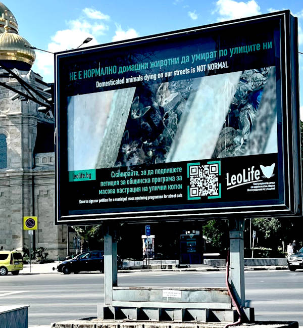 Снимка на голям скролер билборд на ЛеоЛайф, на който пише, че не е нормално домашни любимци да страдат по улиците на Варна и призовава хората да подпишат петиция в подкрепа на масова кастрационна кампания за уличните котки.