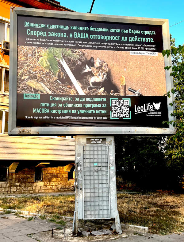 Снимка на голям билборд на ЛеоЛайф, който се обръща към местните политици - общинските съветници - с посланието че хиляди улични котки страдат по улиците на Варна и че е тяхна отговорност да действат съгласно закона. Също така призовава жителите да подпишат петиция в подкрепа на масова кампания за кастрация на уличните котки.