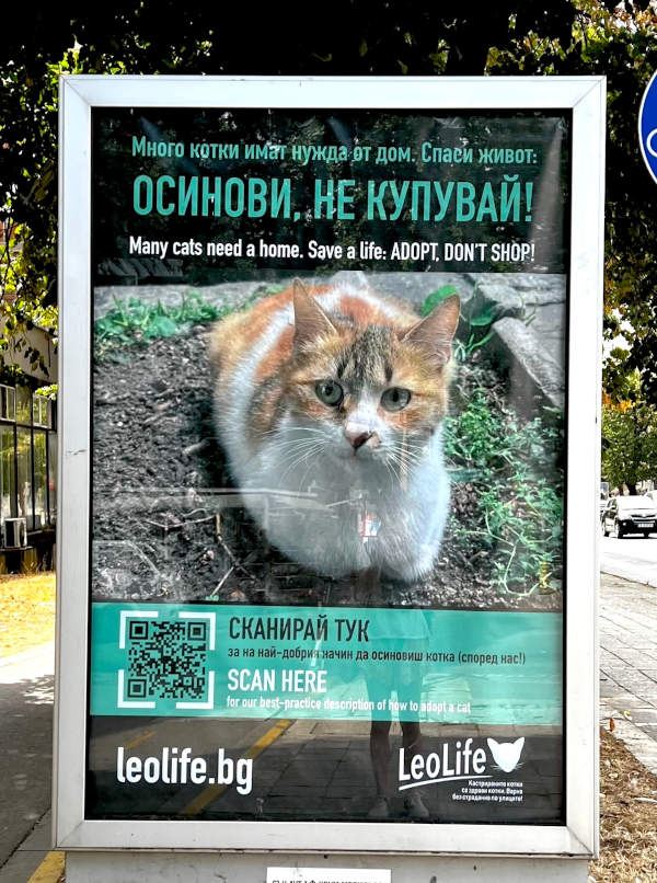 A photo of a LeoLife billboard saying: Many cats need a home. Save a life: adopt, don't shop! It also links to a page on LeoLife's website with a guide to adopting a stray cat.
