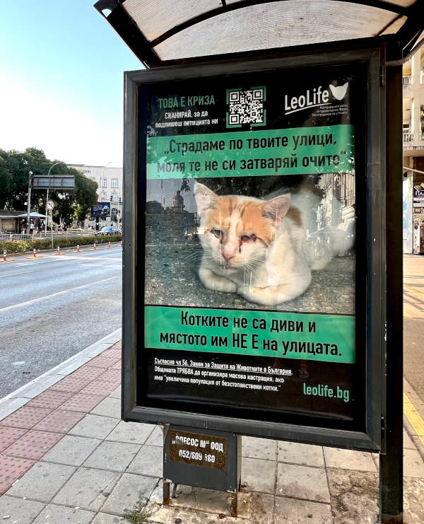 Снимка на билборд на ЛеоЛайф, на който пише, че котките не са диви животни и призовава хората да не отвръщат поглед от страдащите котки по улиците.